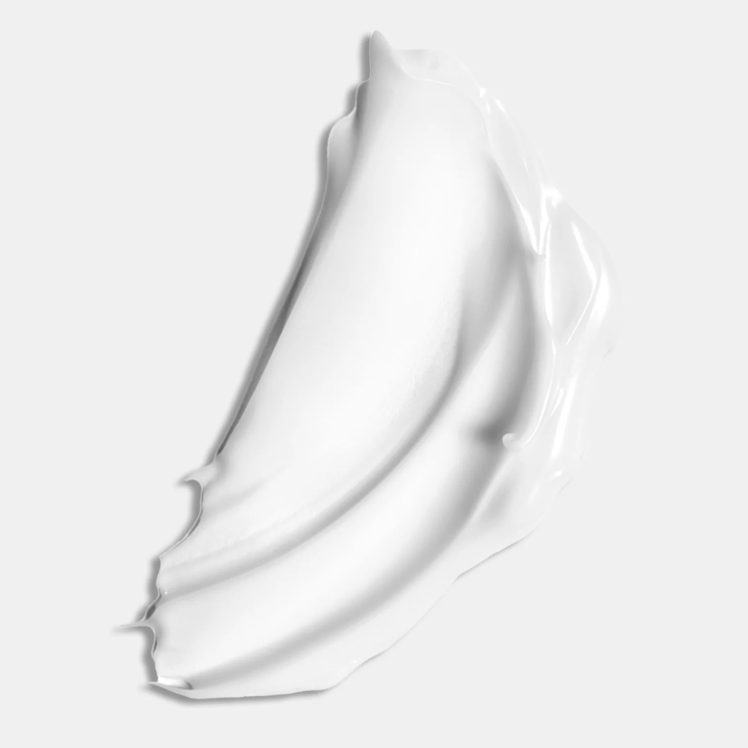 Refine - Image 5